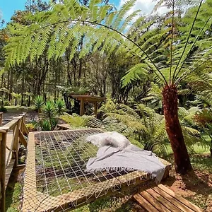  Alojamento de Turismo Selvagem Anjos Da Serra
